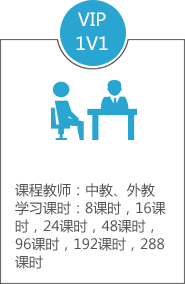 VIP 1对1课程
